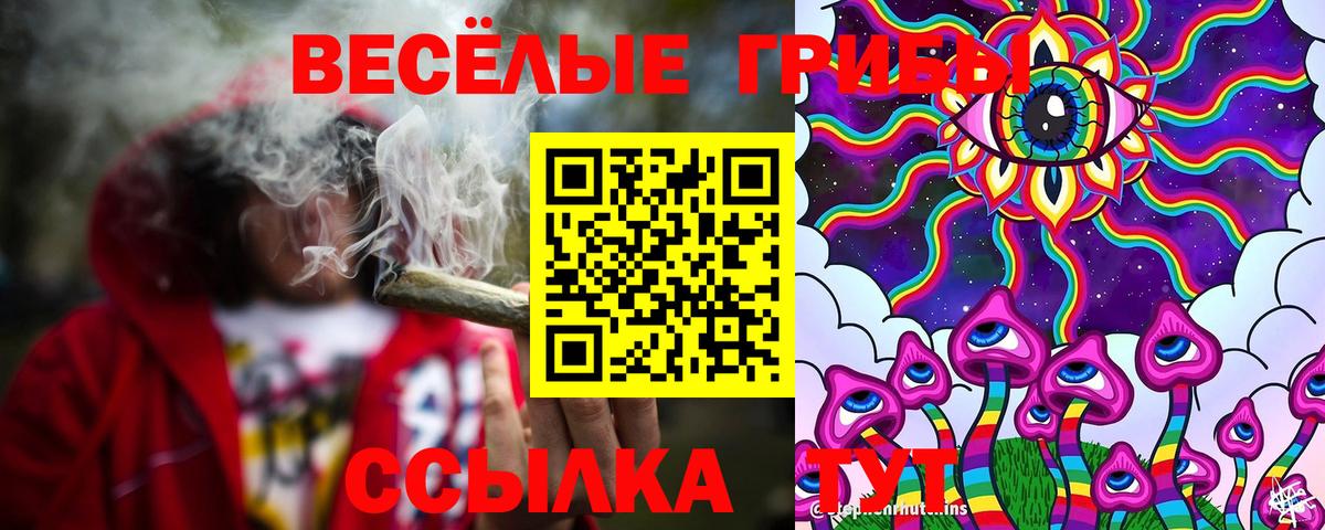 Каменск-Шахтинский  Псилоцибиновые грибы мицелий  Вход с VPN 