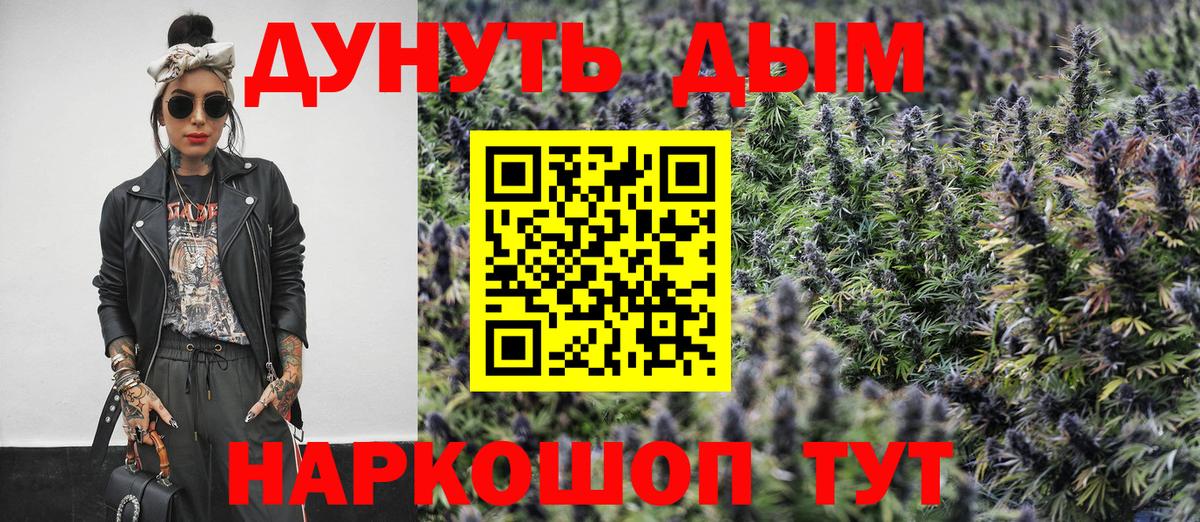 Бошки Шишки семена Каменск-Шахтинский